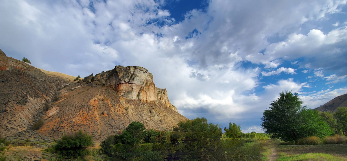 Tower Rock: a vibrant rock that stands above a Salmon River flat