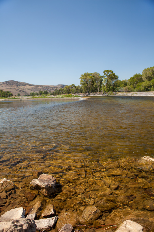 Rocks appear in the shallow Jefferson River
