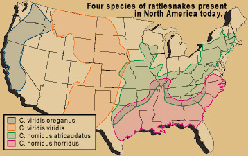 Where Are Rattlesnakes?
